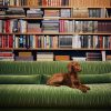 Club couch: royal velvet, green - Image 5
